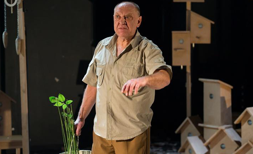 Земля Эльзы